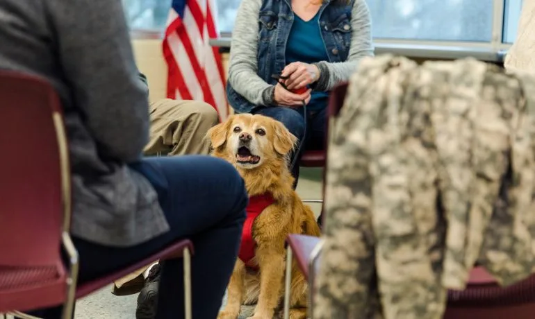 Fast vs. Cheap ESA Letters: The True Cost of Legitimacy